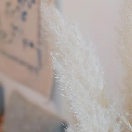 Jolie Maisonnette De 60 M2, à Quelques Pas De La Les Sables-dʼOlonne