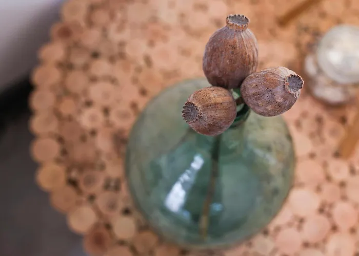 Jolie Maisonnette De 60 M2, A Quelques Pas De La *