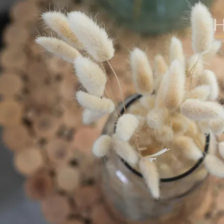 Jolie Maisonnette De 60 M2, A Quelques Pas De La *