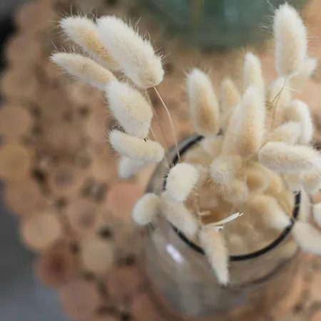 Jolie Maisonnette De 60 M2, à Quelques Pas De La