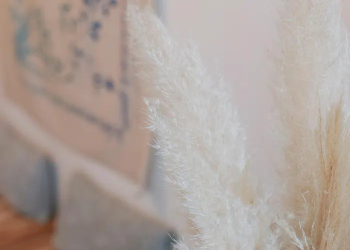 Jolie Maisonnette De 60 M2, A Quelques Pas De La 莱萨布勒-多洛讷