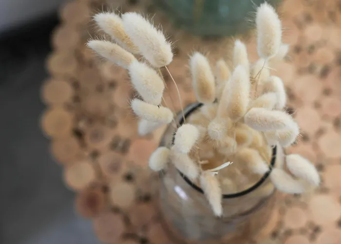 Jolie Maisonnette De 60 M2, A Quelques Pas De La